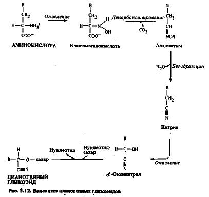 Цианогенные гликозиды