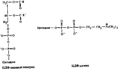 Производные нуклеозиддифосфатов
